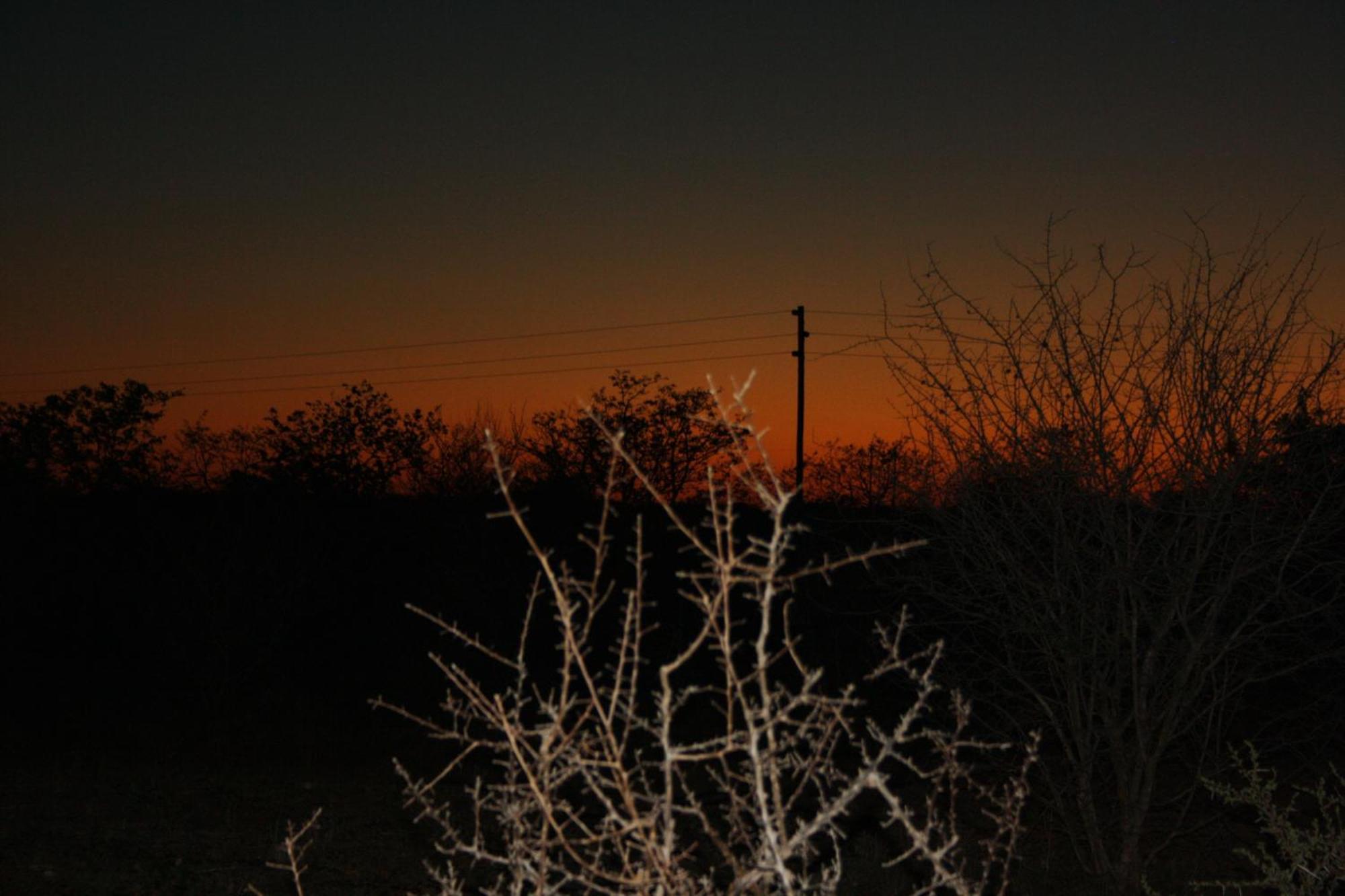 Normann Safari Bush Lodge Phalaborwa Eksteriør bilde